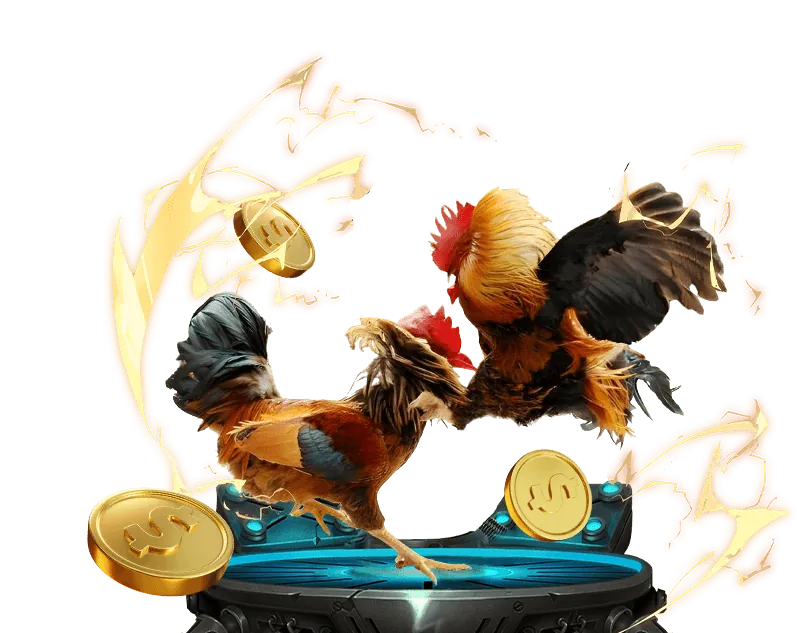 Hình ảnh giới thiệu thương hiệu uy tín